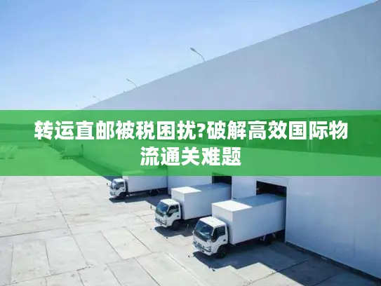 转运直邮被税困扰?破解高效国际物流通关难题