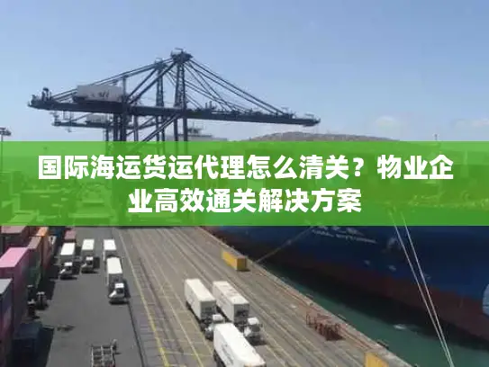 国际海运货运代理怎么清关？物业企业高效通关解决方案