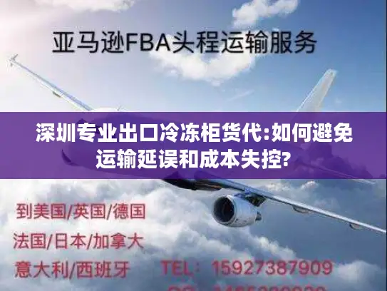 深圳专业出口冷冻柜货代:如何避免运输延误和成本失控?