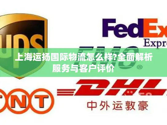 上海运扬国际物流怎么样?全面解析服务与客户评价
