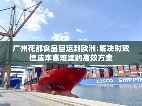 广州花都食品空运到欧洲:解决时效慢成本高难题的高效方案