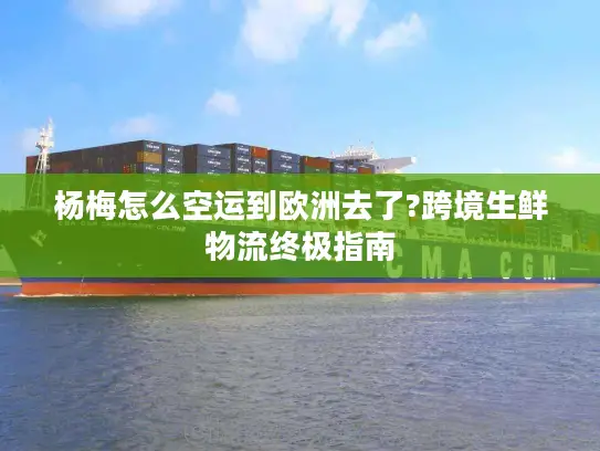 杨梅怎么空运到欧洲去了?跨境生鲜物流终极指南