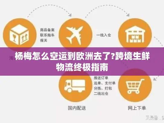 杨梅怎么空运到欧洲去了?跨境生鲜物流终极指南