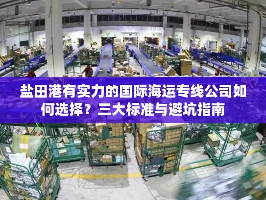 盐田港有实力的国际海运专线公司如何选择？三大标准与避坑指南