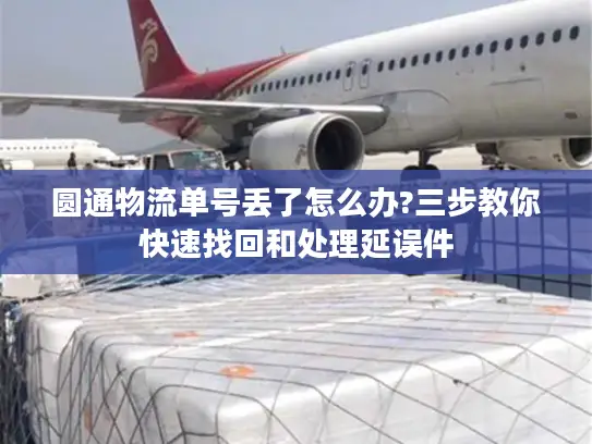 圆通物流单号丢了怎么办?三步教你快速找回和处理延误件