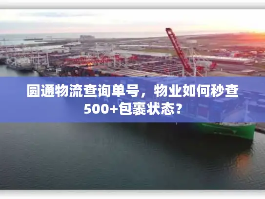 圆通物流查询单号，物业如何秒查500+包裹状态？