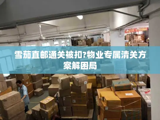 雪茄直邮通关被扣?物业专属清关方案解困局