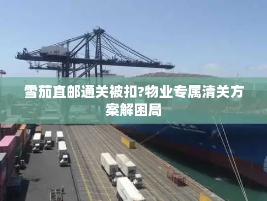 雪茄直邮通关被扣?物业专属清关方案解困局