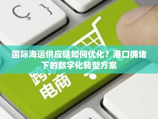 国际海运供应链如何优化？港口拥堵下的数字化转型方案
