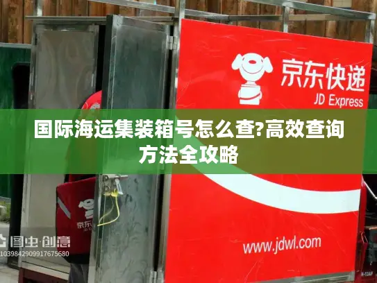 国际海运集装箱号怎么查?高效查询方法全攻略
