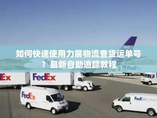 如何快速使用力展物流查货运单号？最新自助追踪教程
