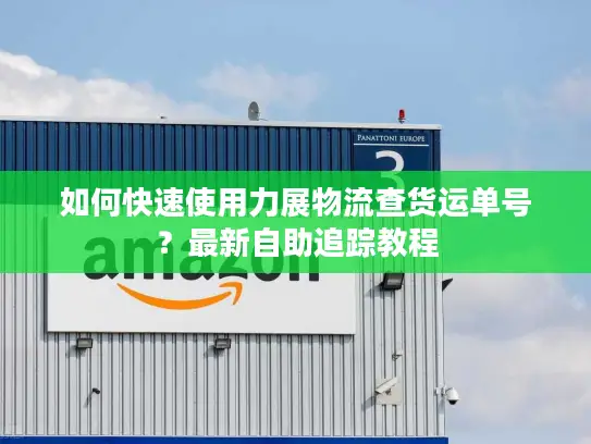 如何快速使用力展物流查货运单号？最新自助追踪教程