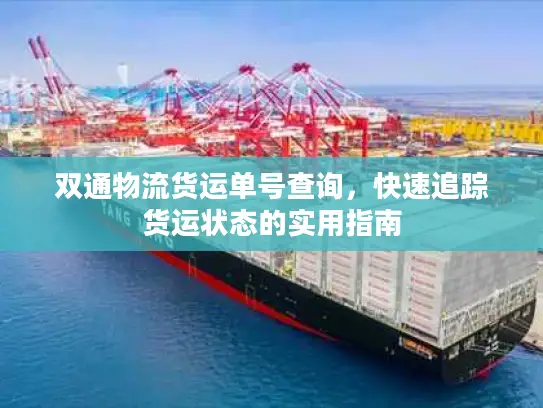 双通物流货运单号查询，快速追踪货运状态的实用指南