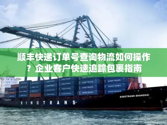 顺丰快递订单号查询物流如何操作？企业客户快速追踪包裹指南