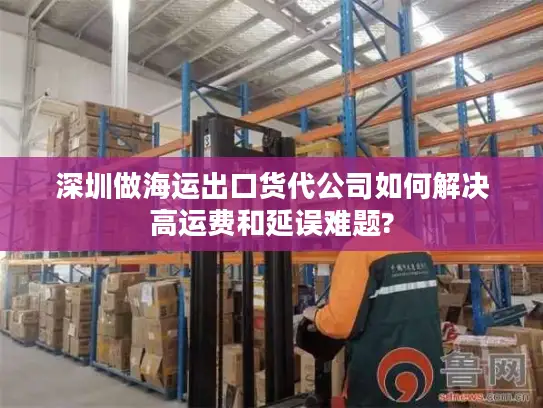 深圳做海运出口货代公司如何解决高运费和延误难题?