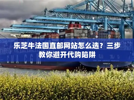 乐芝牛法国直邮网站怎么选？三步教你避开代购陷阱