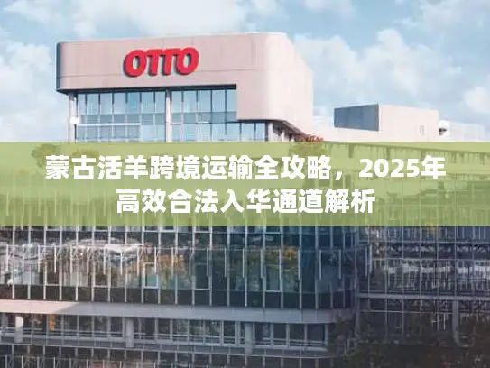 蒙古活羊跨境运输全攻略，2025年高效合法入华通道解析