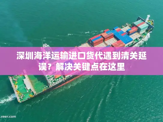 深圳海洋运输进口货代遇到清关延误？解决关键点在这里
