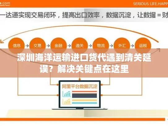 深圳海洋运输进口货代遇到清关延误？解决关键点在这里