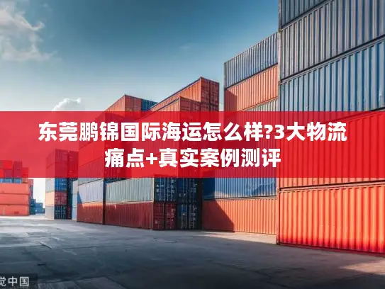 东莞鹏锦国际海运怎么样?3大物流痛点+真实案例测评