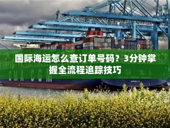 国际海运怎么查订单号码？3分钟掌握全流程追踪技巧