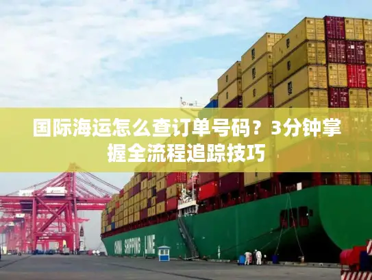 国际海运怎么查订单号码？3分钟掌握全流程追踪技巧