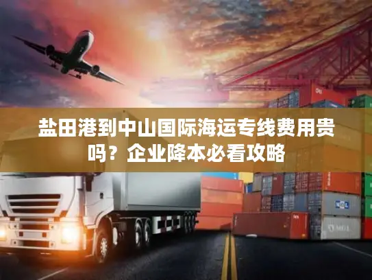 盐田港到中山国际海运专线费用贵吗？企业降本必看攻略