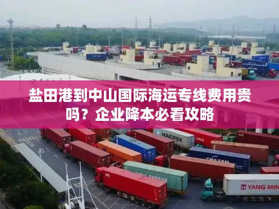 盐田港到中山国际海运专线费用贵吗？企业降本必看攻略