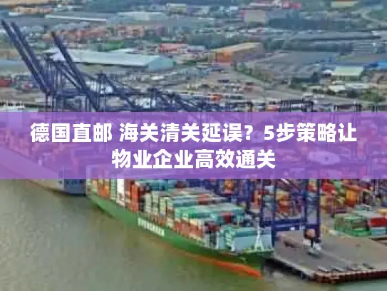 德国直邮 海关清关延误？5步策略让物业企业高效通关