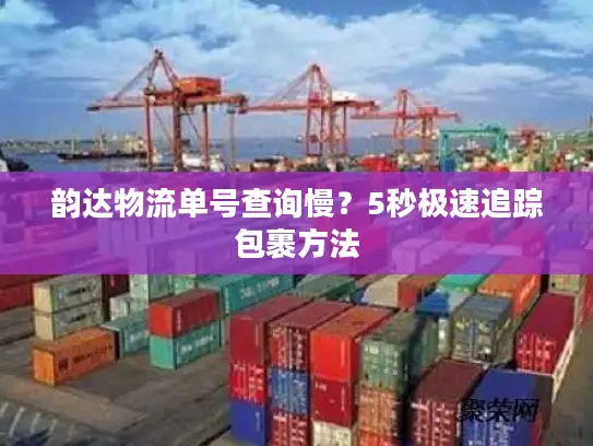 韵达物流单号查询慢？5秒极速追踪包裹方法