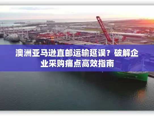 澳洲亚马逊直邮运输延误？破解企业采购痛点高效指南