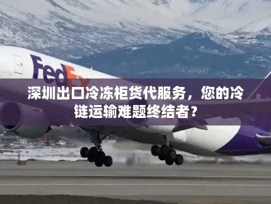 深圳出口冷冻柜货代服务，您的冷链运输难题终结者？