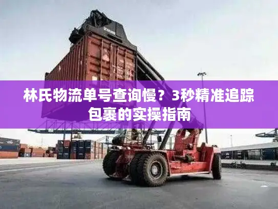 林氏物流单号查询慢？3秒精准追踪包裹的实操指南