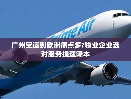广州空运到欧洲痛点多?物业企业选对服务提速降本