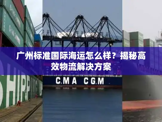 广州标准国际海运怎么样？揭秘高效物流解决方案