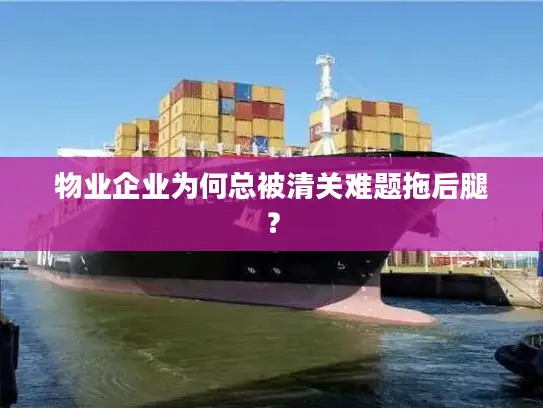 物业企业为何总被清关难题拖后腿？