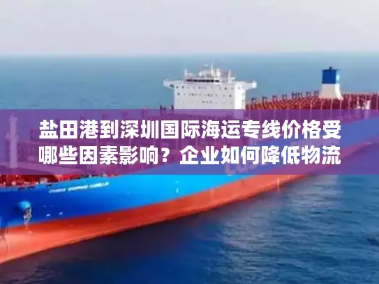 盐田港到深圳国际海运专线价格受哪些因素影响？企业如何降低物流成本？