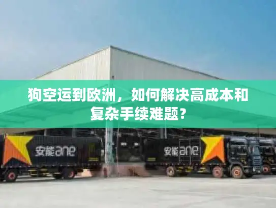 狗空运到欧洲，如何解决高成本和复杂手续难题？