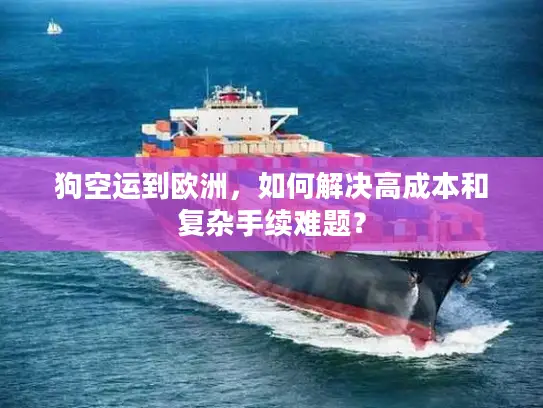 狗空运到欧洲，如何解决高成本和复杂手续难题？