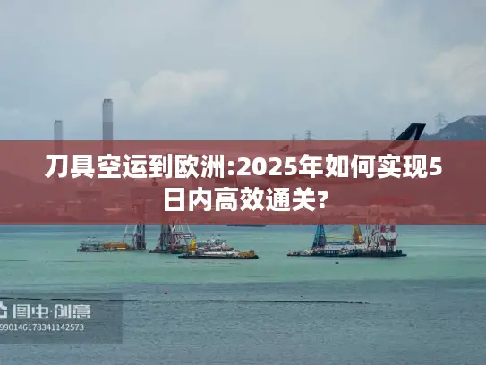 刀具空运到欧洲:2025年如何实现5日内高效通关?