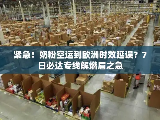 紧急！奶粉空运到欧洲时效延误？7日必达专线解燃眉之急