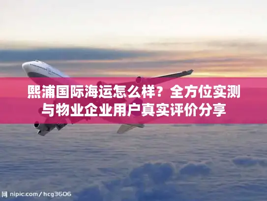 熙浦国际海运怎么样？全方位实测与物业企业用户真实评价分享