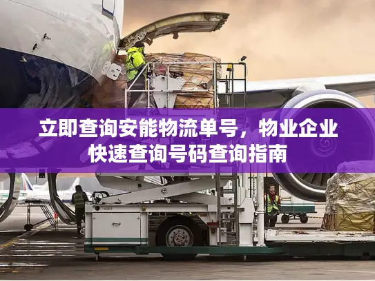 立即查询安能物流单号，物业企业快速查询号码查询指南