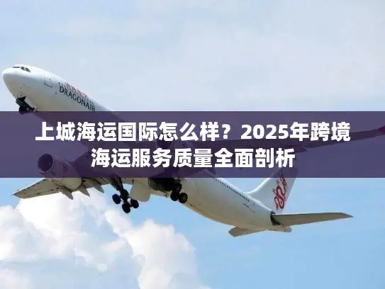 上城海运国际怎么样？2025年跨境海运服务质量全面剖析