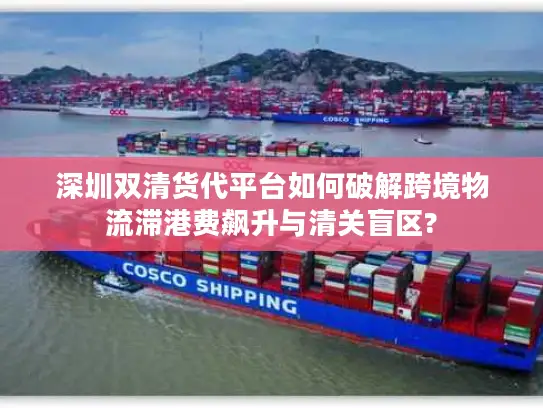 深圳双清货代平台如何破解跨境物流滞港费飙升与清关盲区?