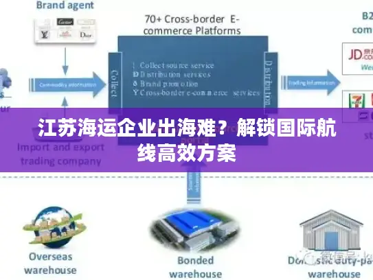 江苏海运企业出海难？解锁国际航线高效方案