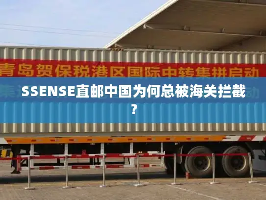 SSENSE直邮中国为何总被海关拦截？