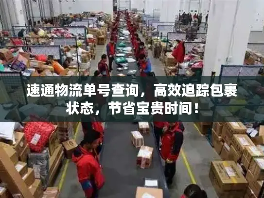 速通物流单号查询,高效追踪包裹状态,节省宝贵时间! 速通物流单号查询,高效追踪包裹状态,节省宝贵时间!