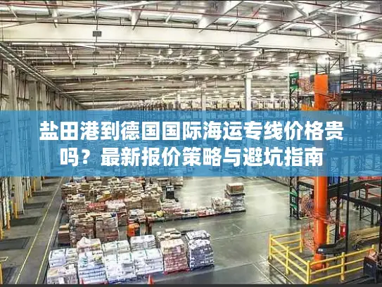 盐田港到德国国际海运专线价格贵吗？最新报价策略与避坑指南