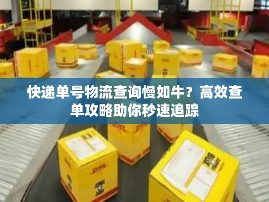 快递单号物流查询慢如牛？高效查单攻略助你秒速追踪